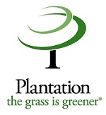 Plantation Tree Logo